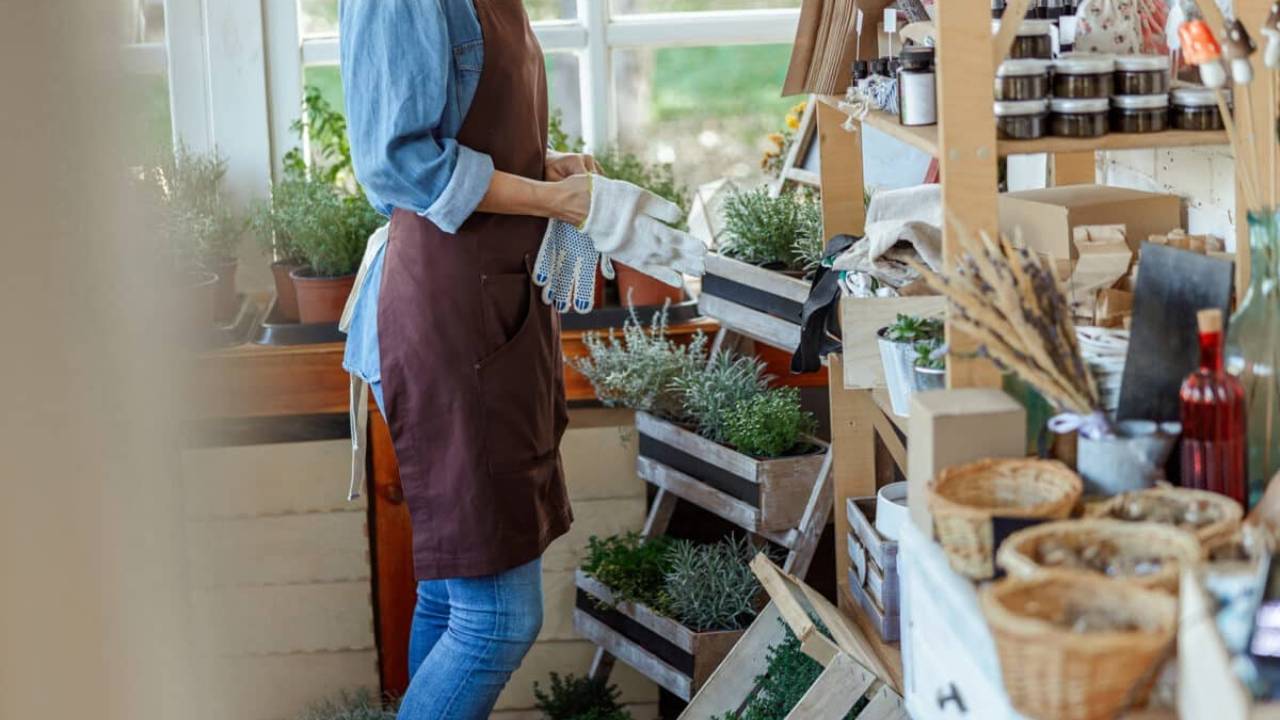 Herb Shops Near Me A Treasure Trove of Healthy Options