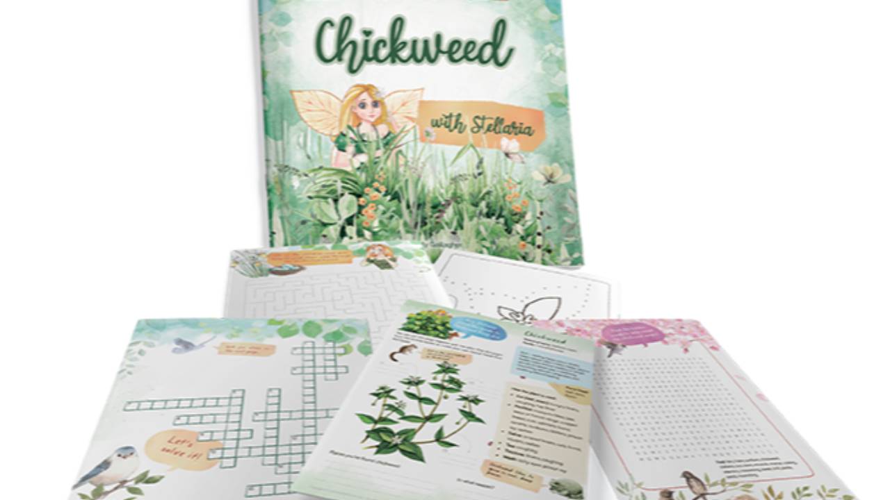 Herb Fairies Book One Download