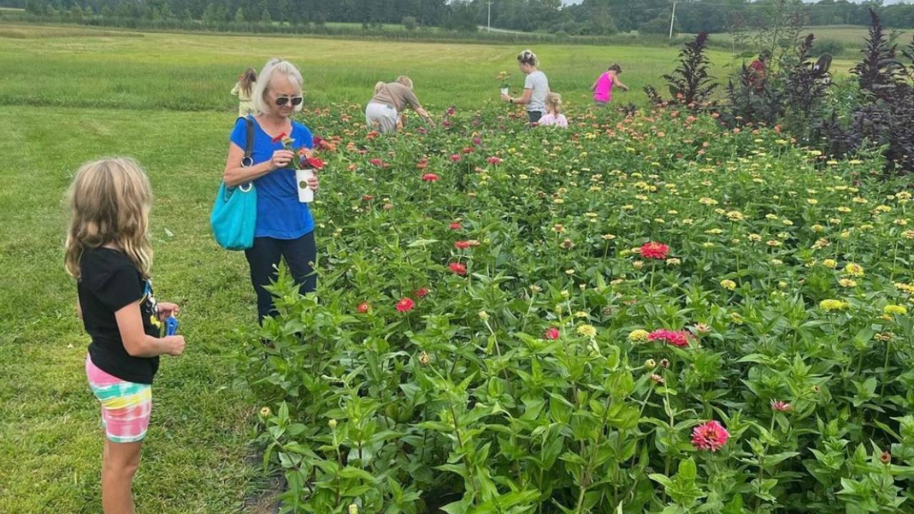 How to Start a Flower Farm with 1000