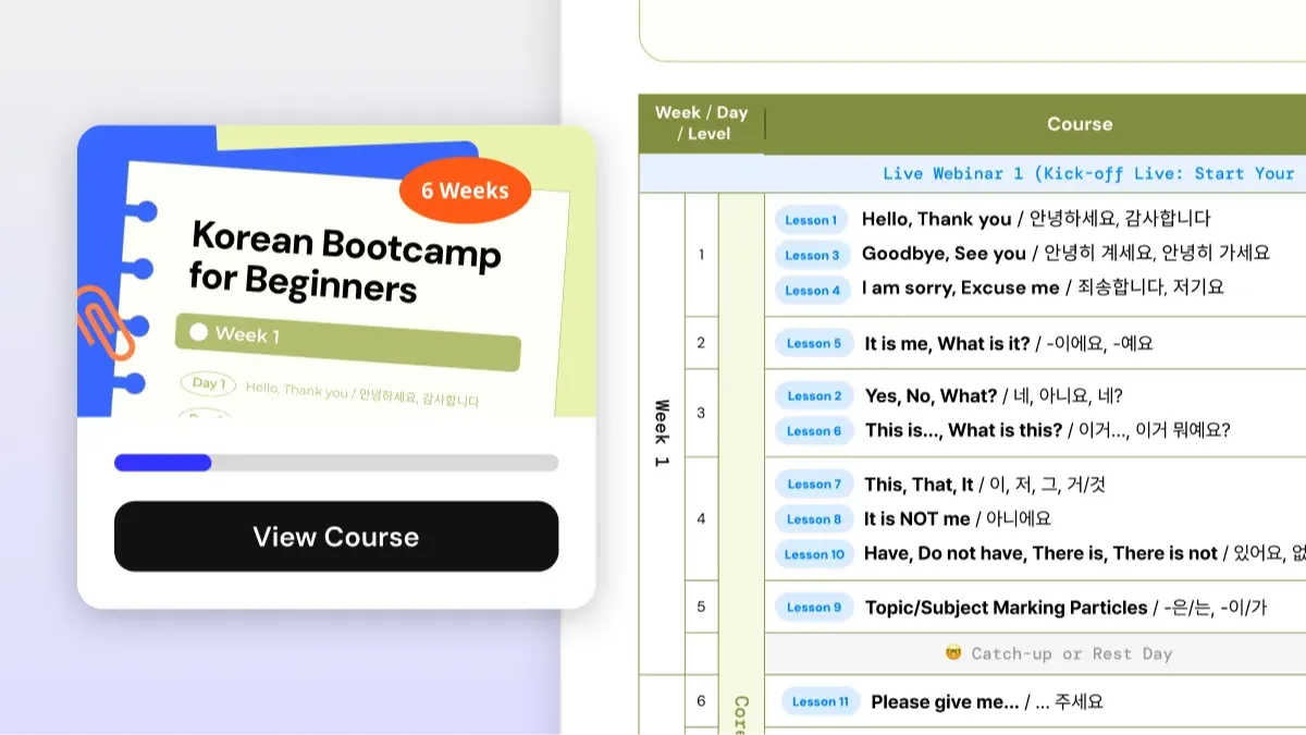Bootcamp Programs