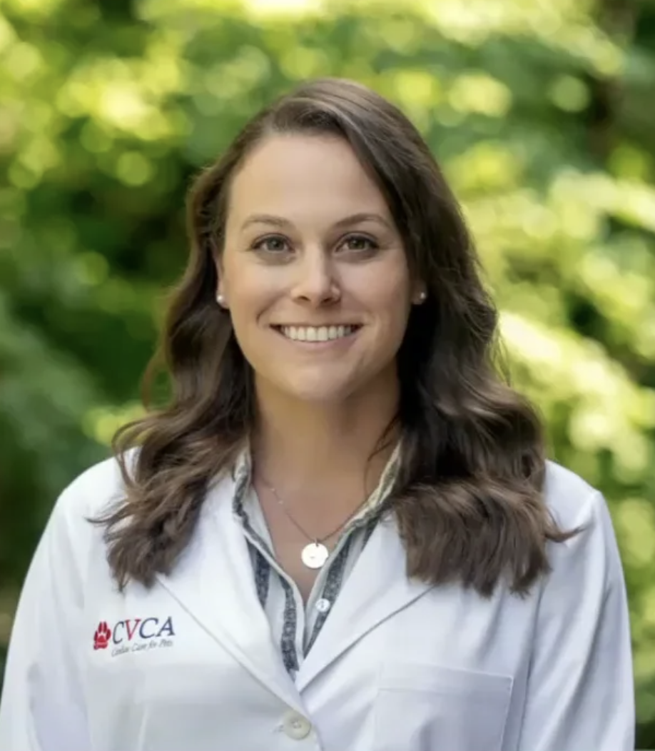Dr. Kate Pouliot, board-certified veterinary cardiologist