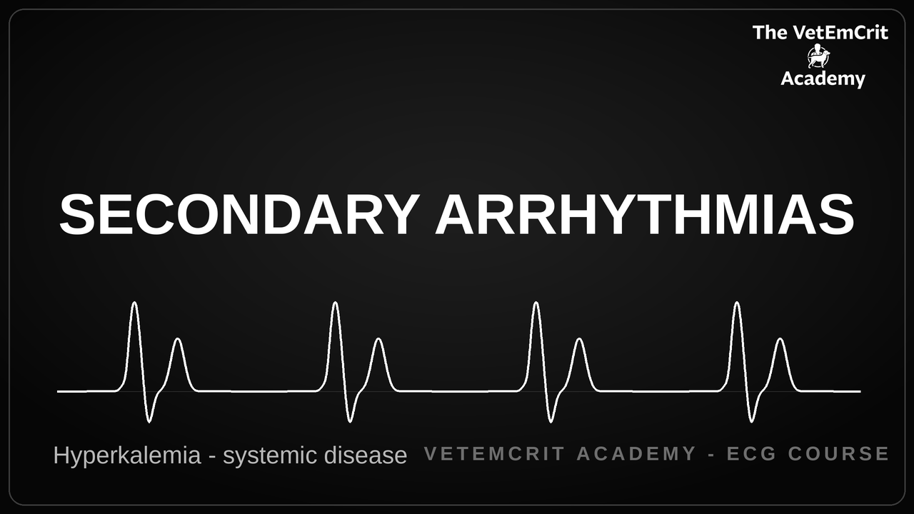Secondary Arrhythmias