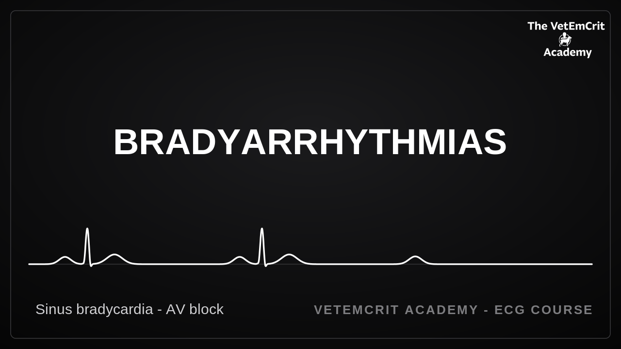 Bradyarrhythmias