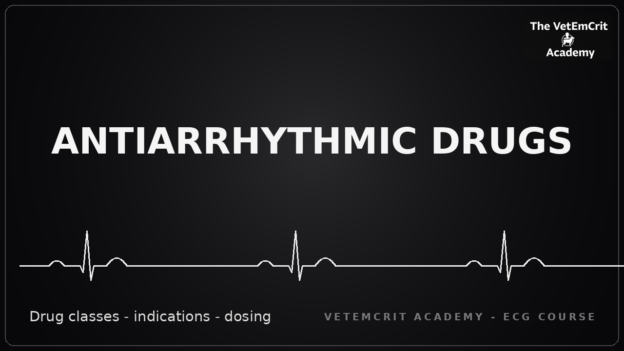 Antiarrhythmic Drugs