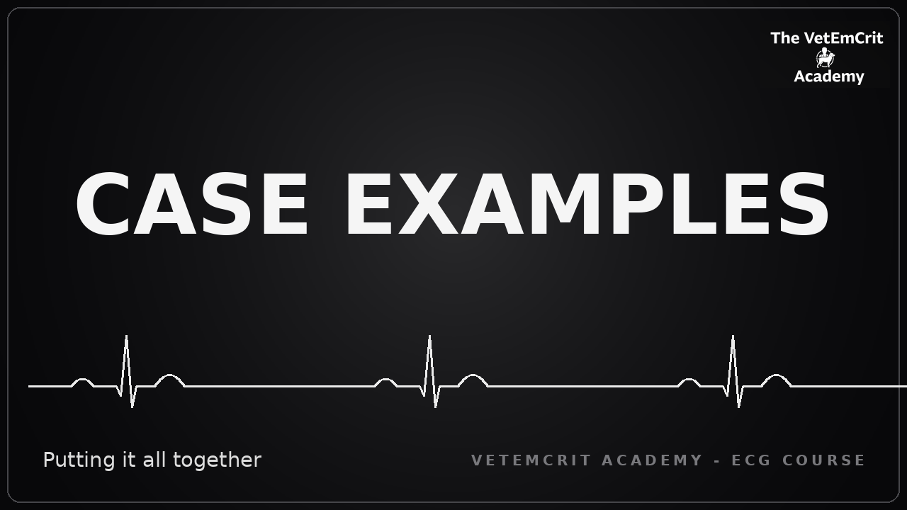 Case Examples