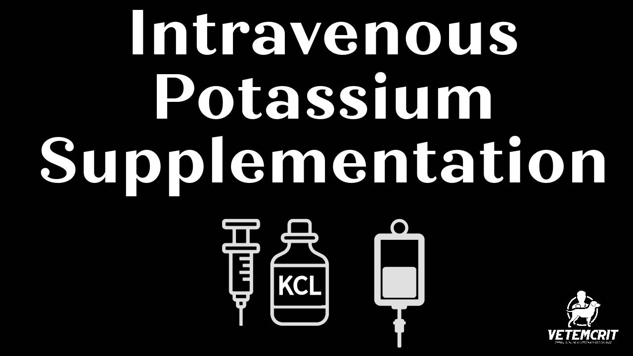 Intravenous Potassium Supplementation in Dogs, Cats & More