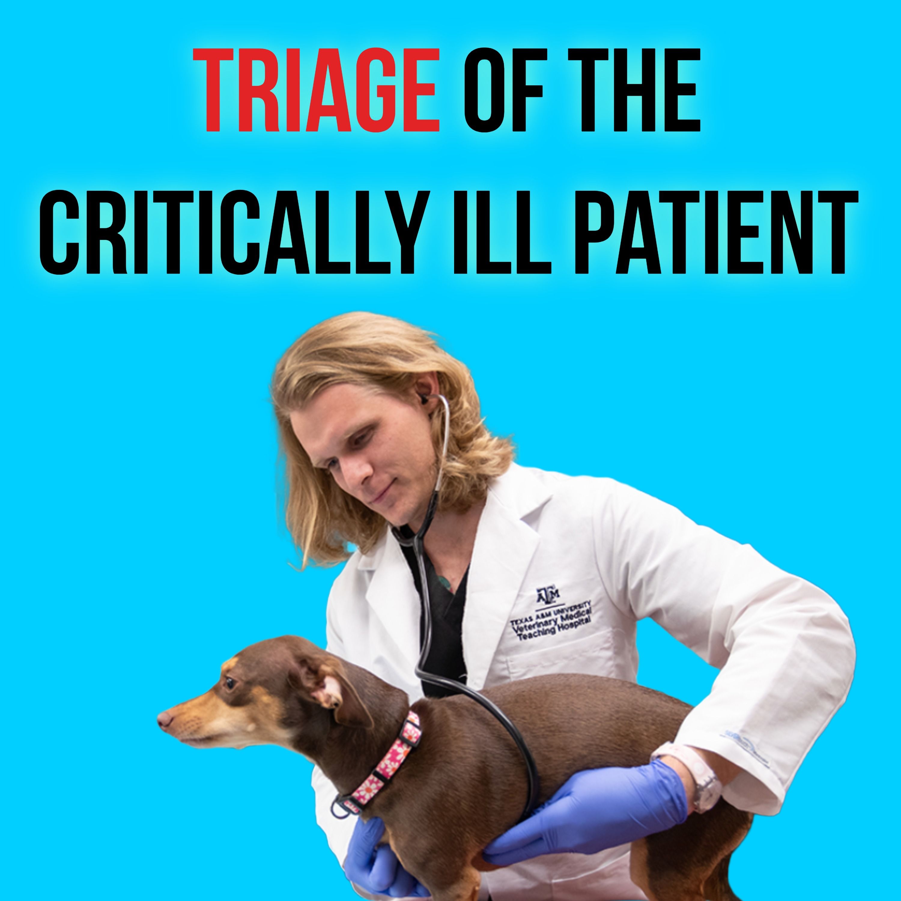 Episode 16: Triage by Dr. Wheeler episode artwork