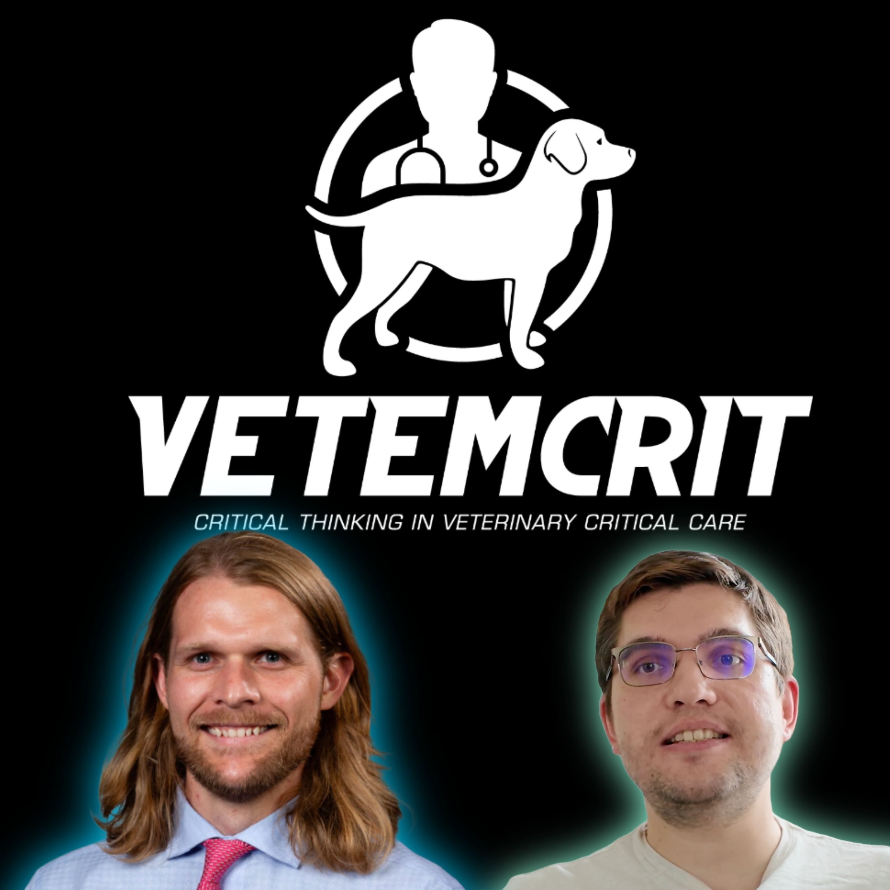 VetEmCrit: The Veterinary Emergency & Critical Care Podcast