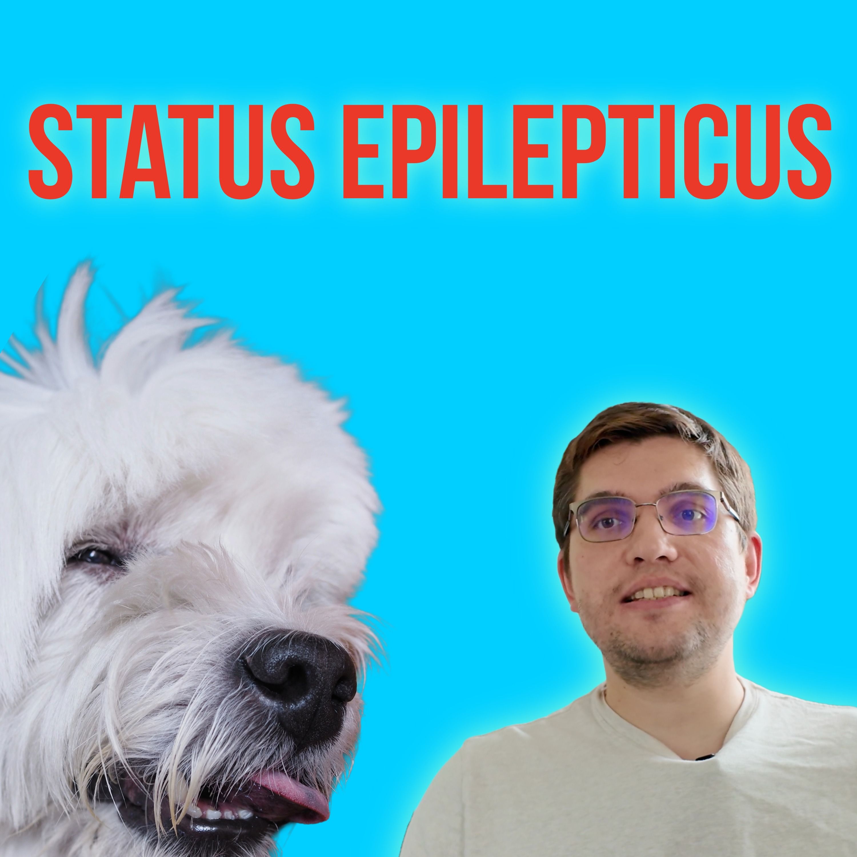 Episode 23: Status epilepticus and cluster seizures episode artwork
