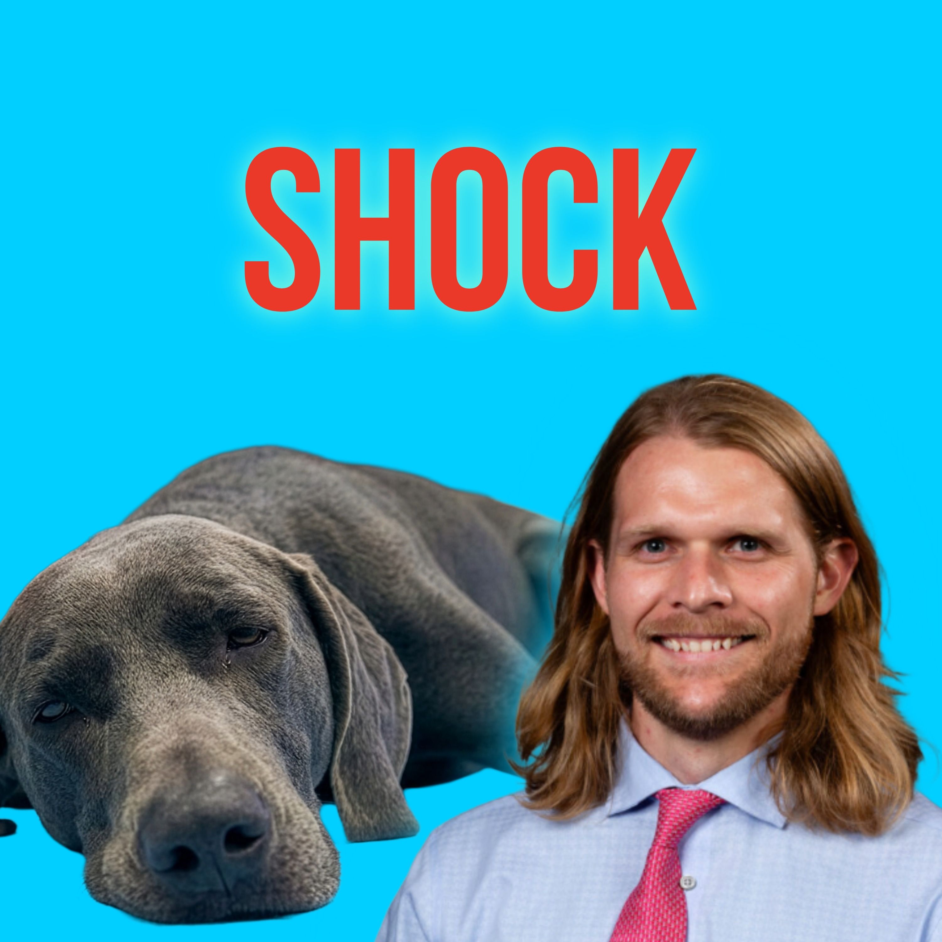Episode 24: Shock episode artwork