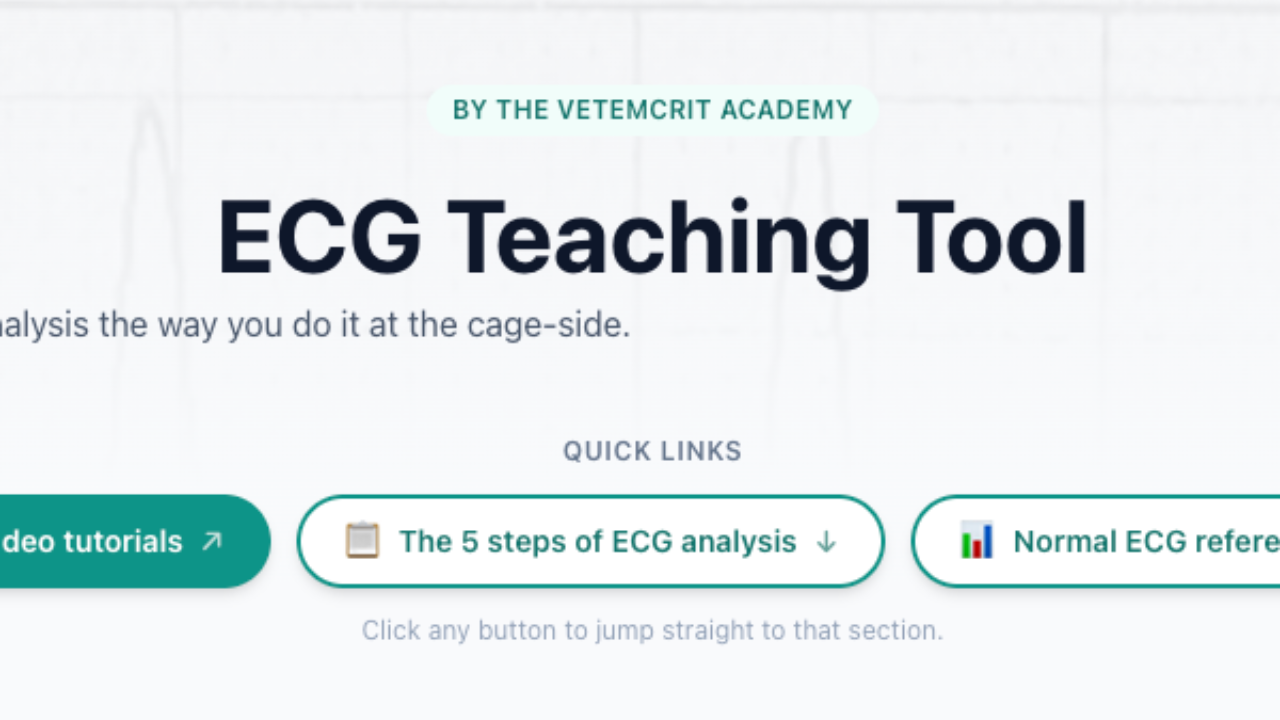 VETEMCRIT interactive ECG Teaching Tool