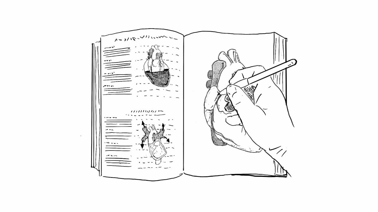 pa-guide-pa-prep-academy