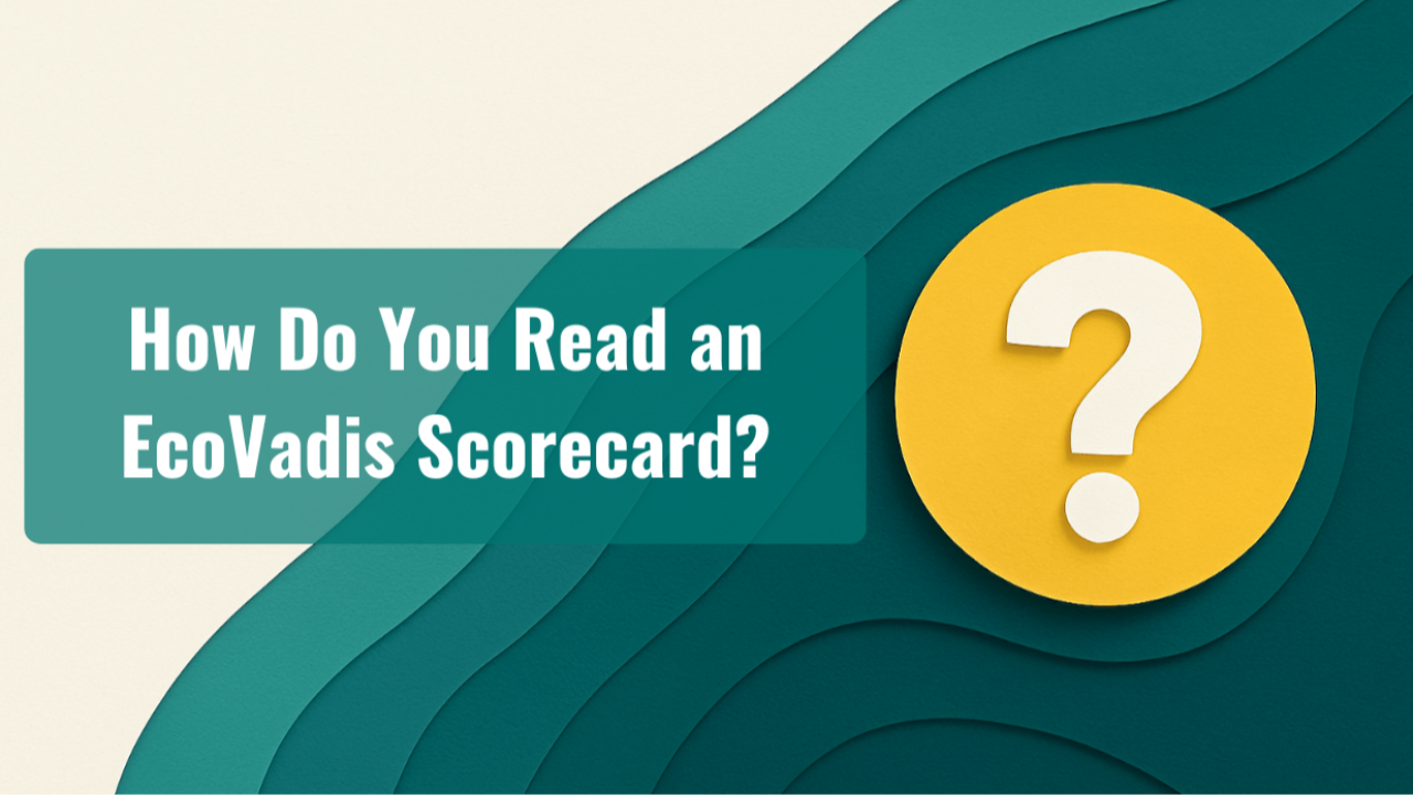 The Answer image asking: How do you read an EcoVadis scorecard?