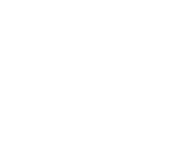 Behaviour Interactive