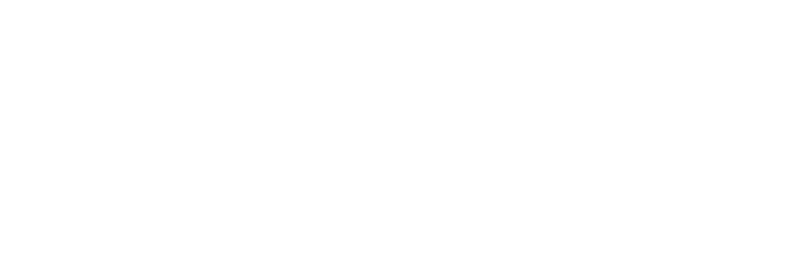 ZOAN OY