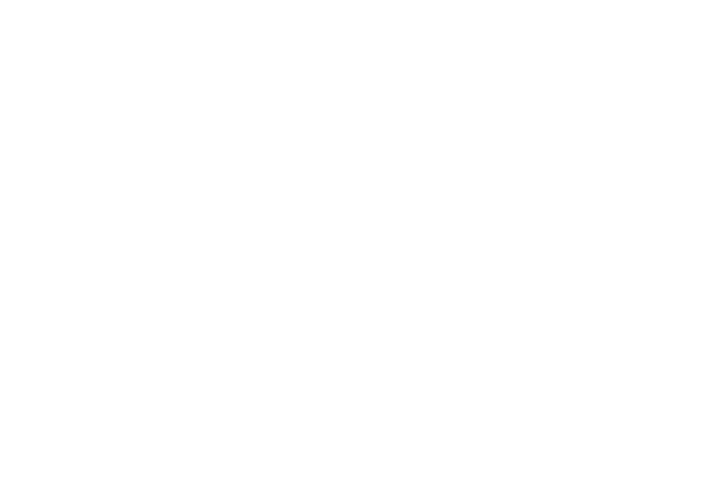 AIVAN