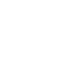 Massive Studios