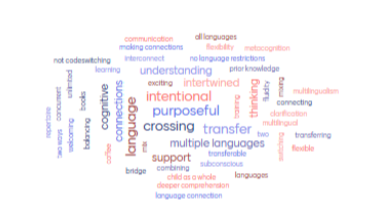 Translanguaging Word Cloud Created by Workshop Participants