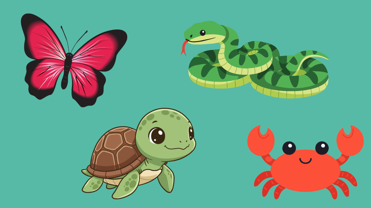 Animal actions games for you to download