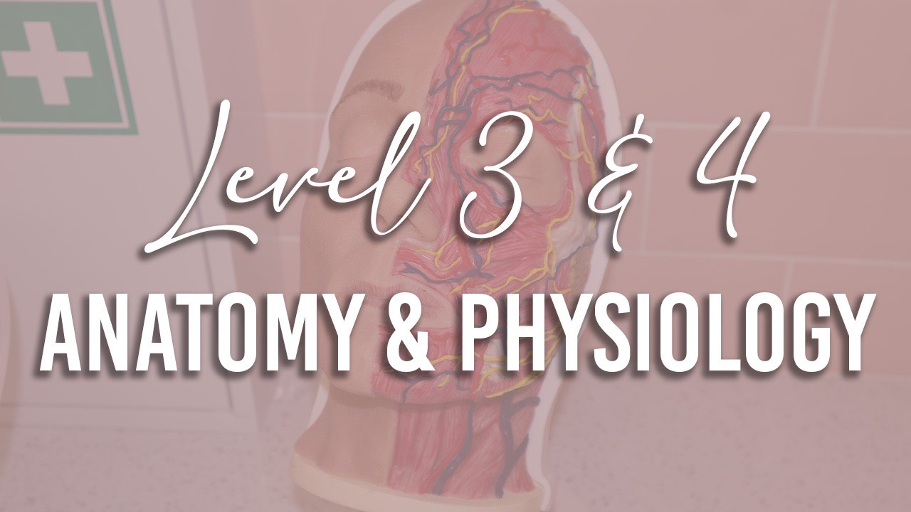CPD Anatomy And Physiology Level 3 and Level 4