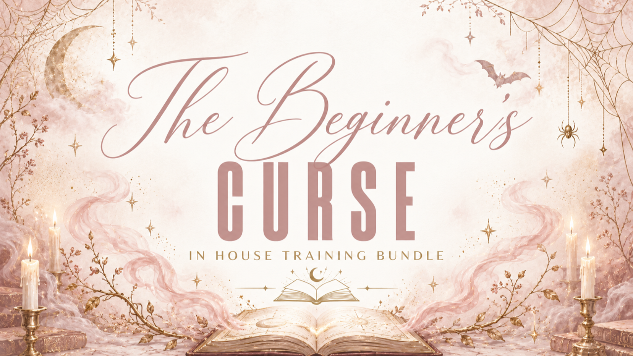 The Beginner’s Curse Halloween in house training bundle