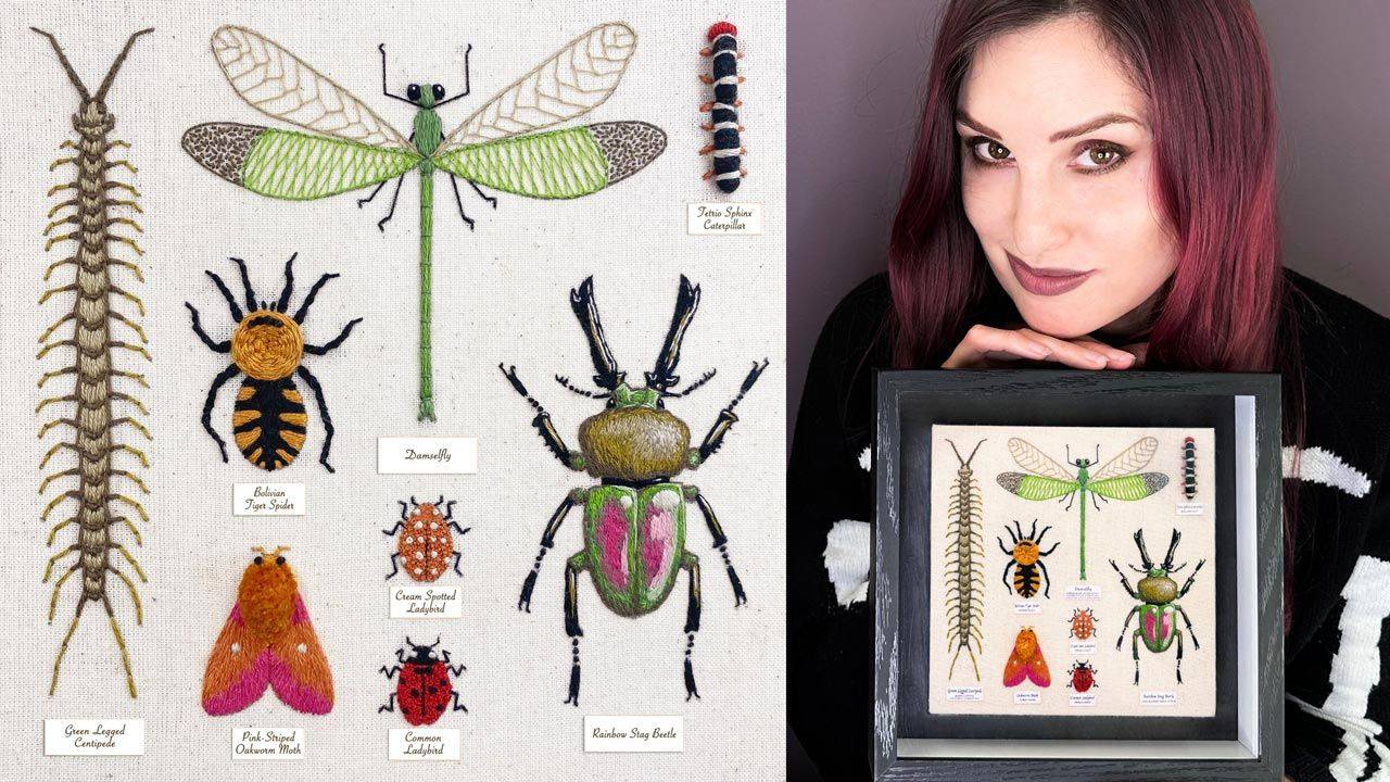Bug Collectors Case Stitch Along