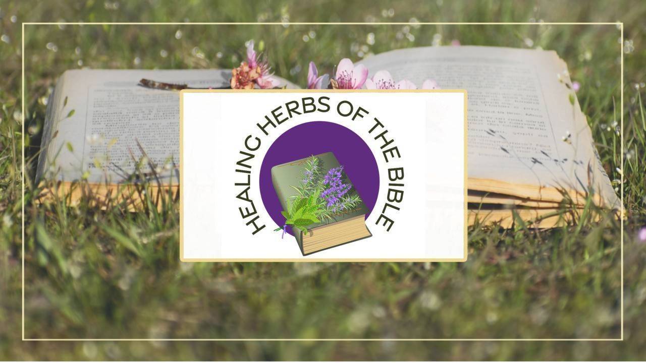 Healing Herbs of the Bible course
