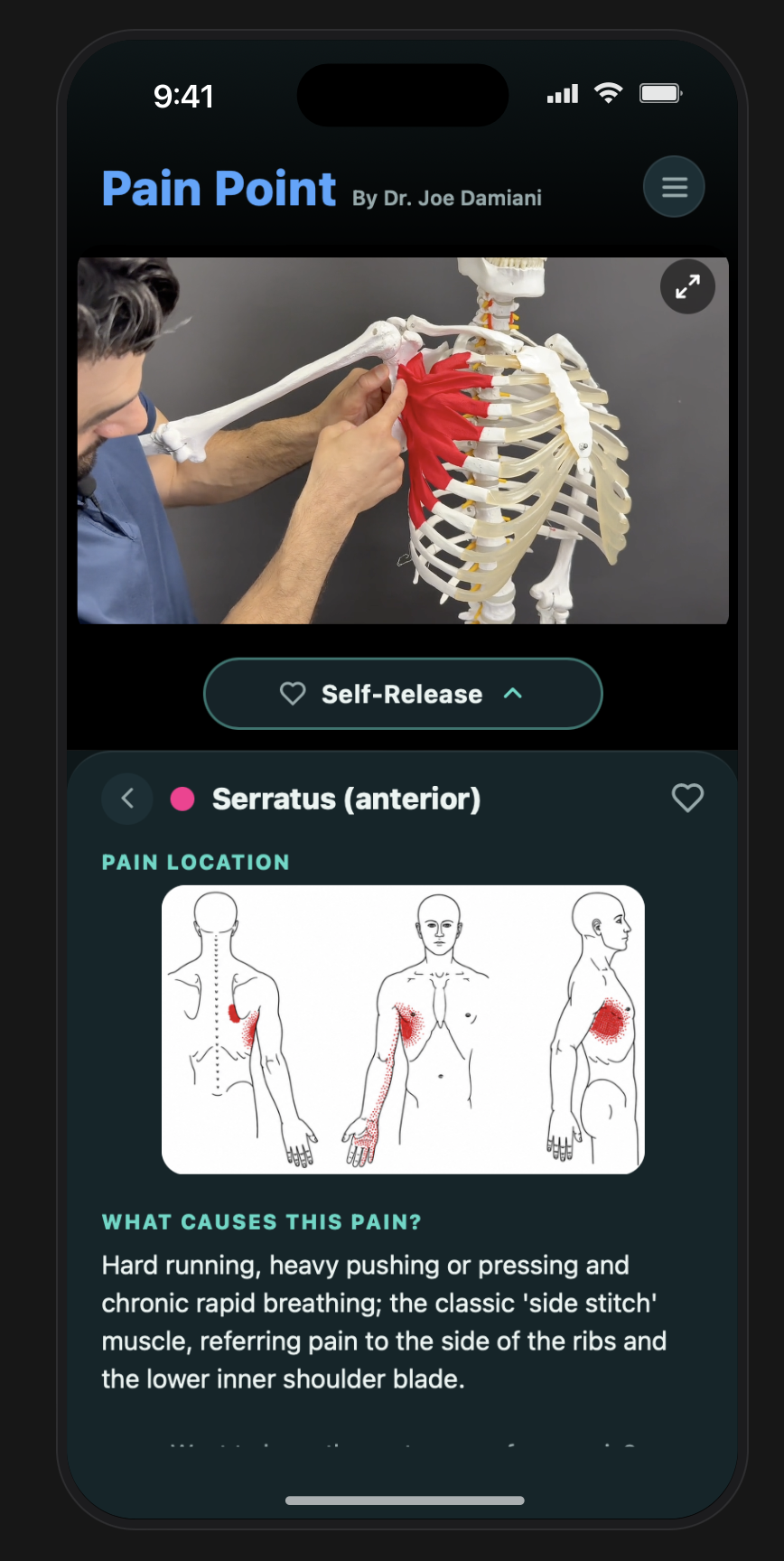 Dr. Joe demonstrating serratus anatomy inside Pain Point