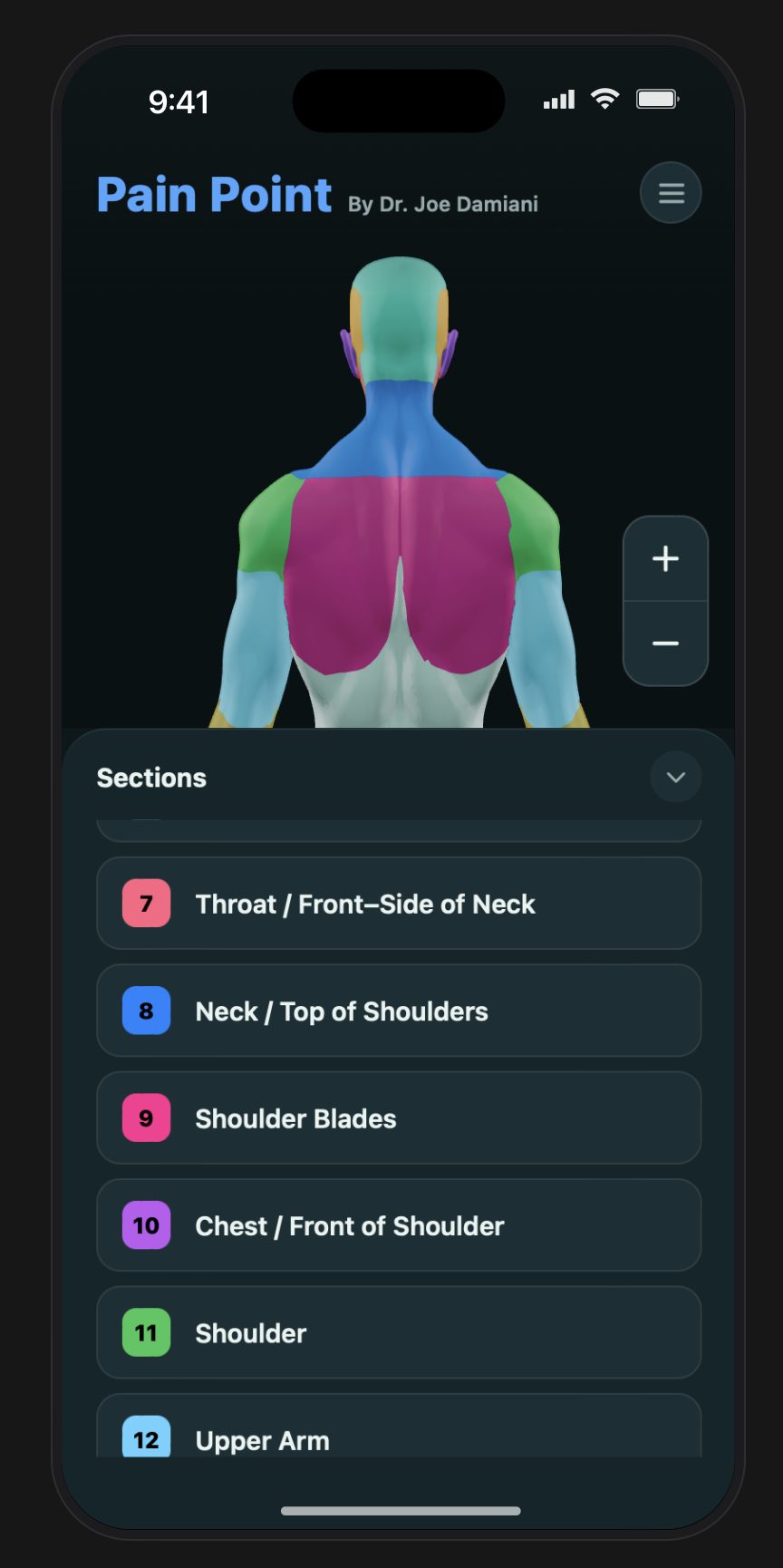 Pain Point 3D pain map viewed from the back