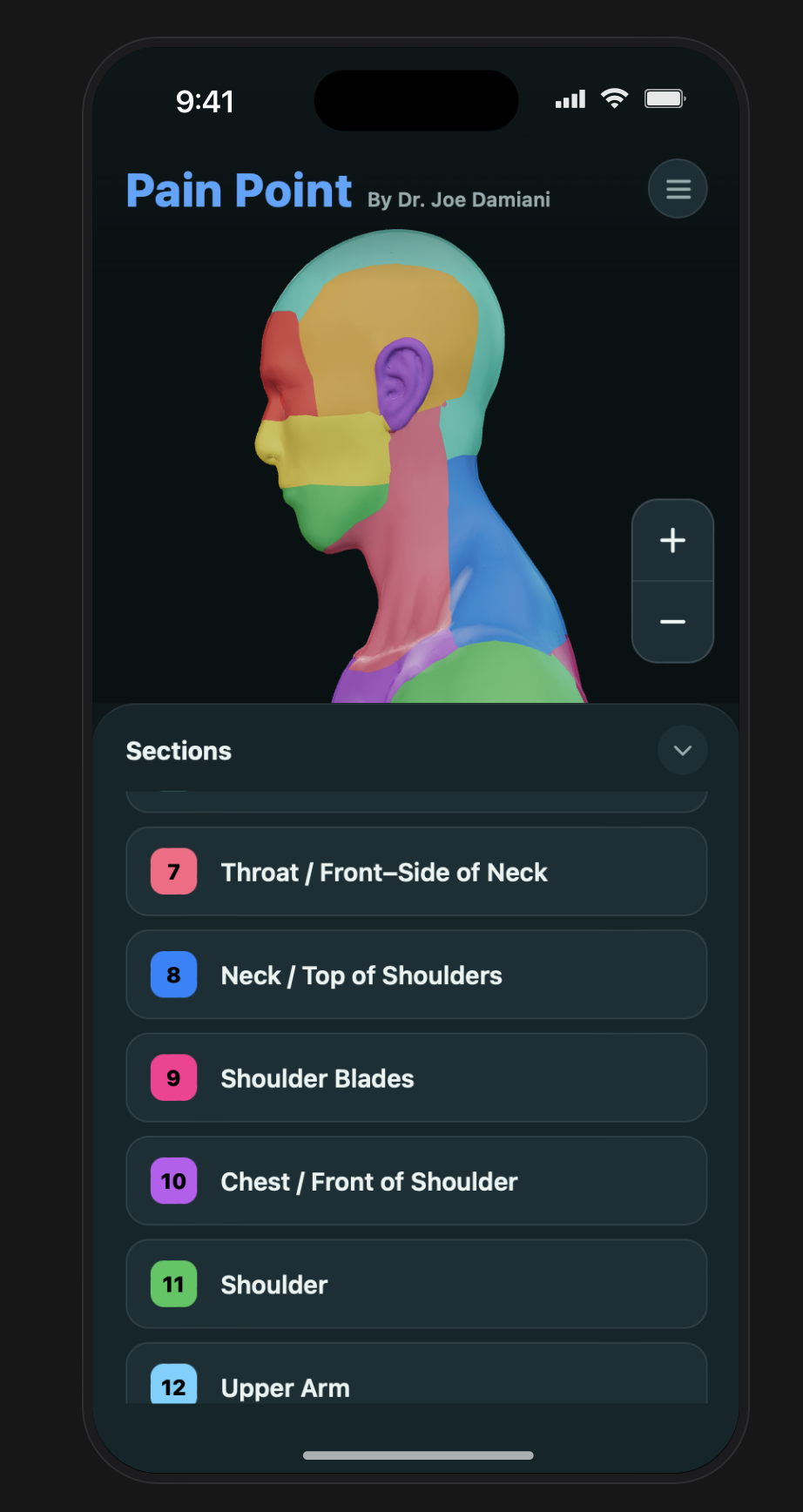 Side view of the 3D pain model