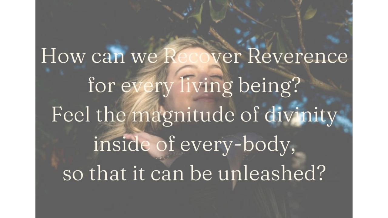 How Can We Recover Reverence?