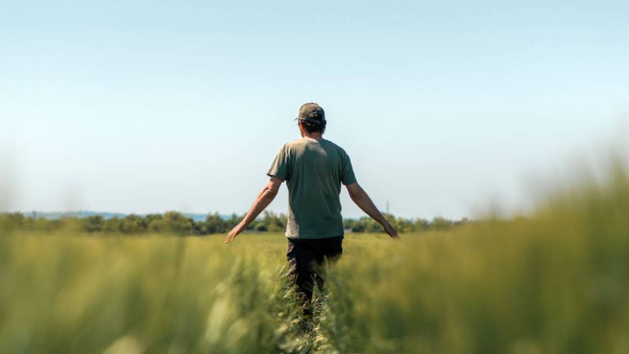 man with back turned walking through green field with blue sky