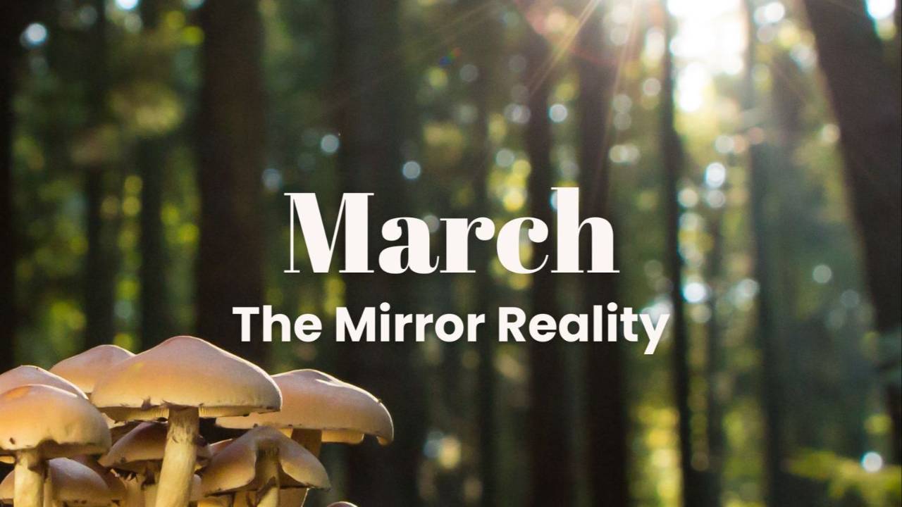 Workshop- Mirror Reality