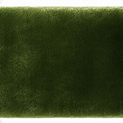 Textura de terciopelo verde