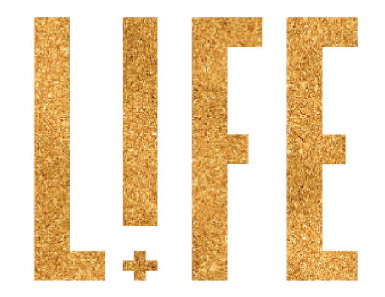 Header Logo