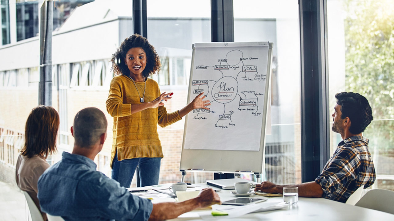 Person presenting a business plan to a small group