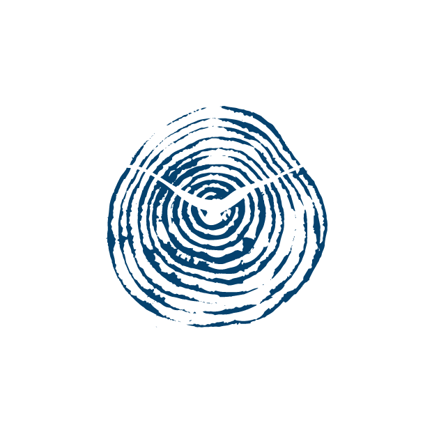 Footer Logo