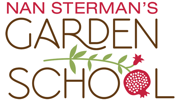 Header Logo