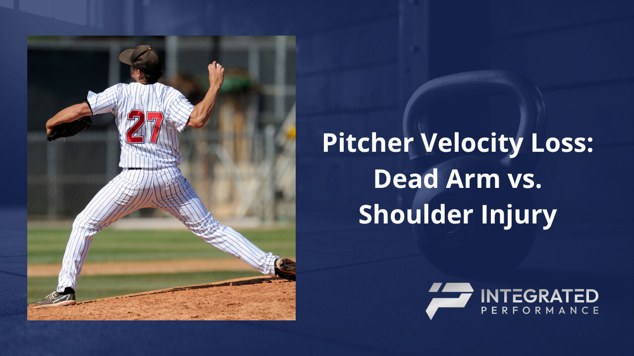 A split diagram showing the rotator cuff dynamic stabilizers during pitching deceleration alongside a anatomical callout of the humeral head and glenoid labrum.