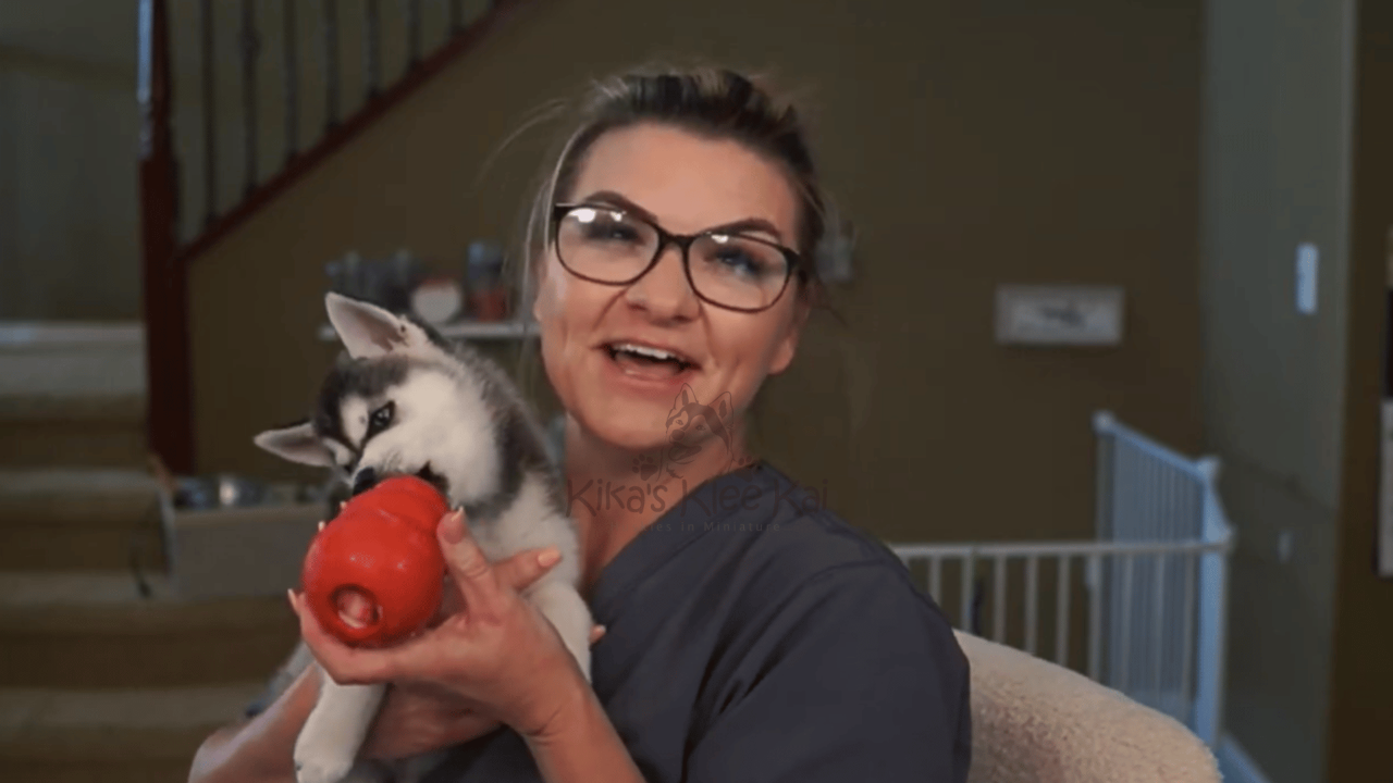 How to Use a Kong Toy with Your Puppy for the First Time