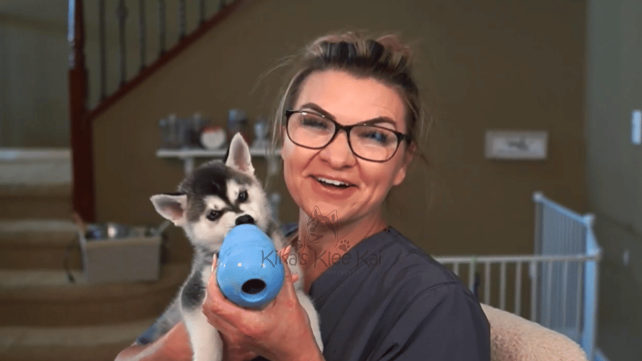 Best Delicious Kong Recipe For Dogs