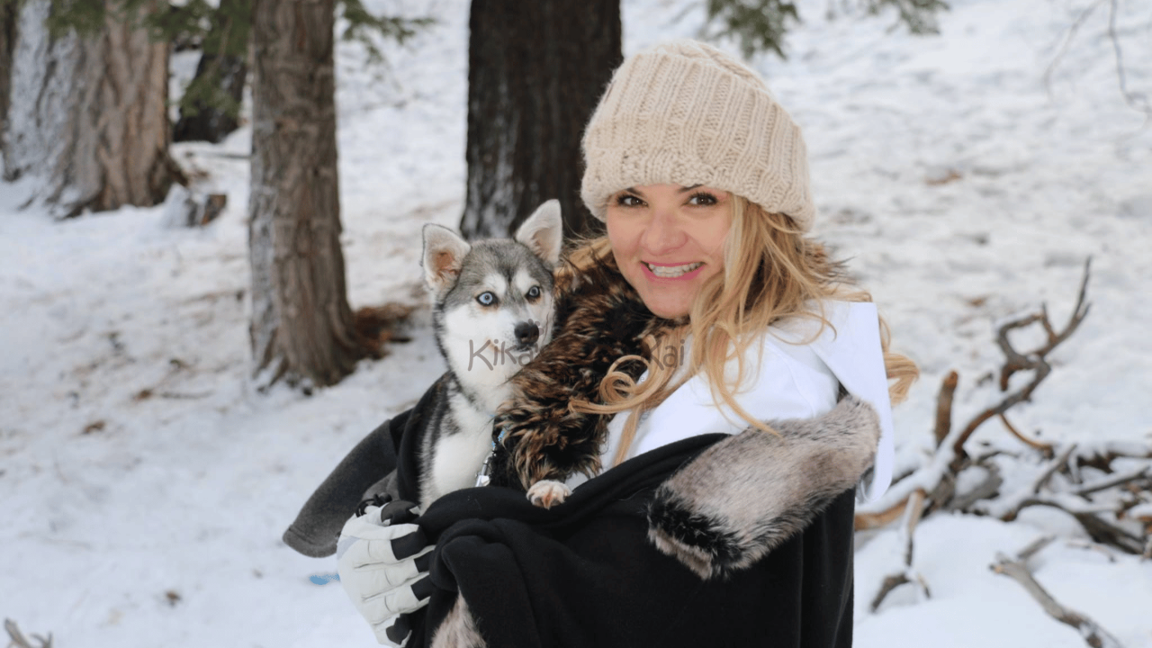 Getting an Alaskan Klee Kai Puppy from Kika's Klee Kai