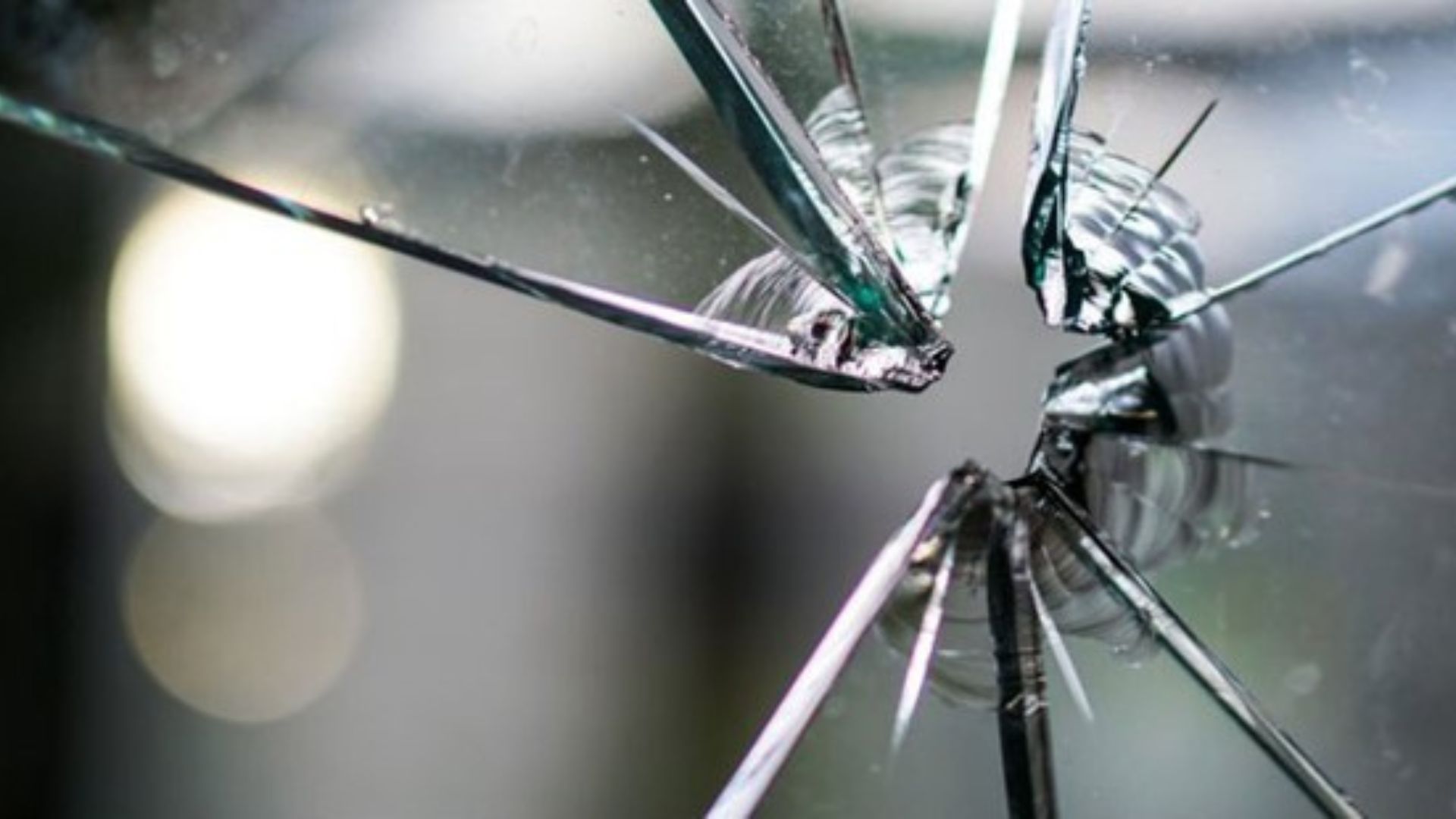 How to survive a property management nightmare