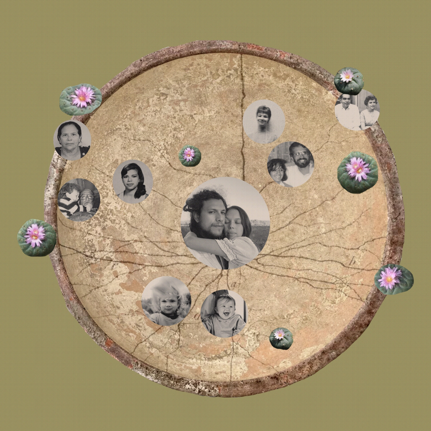 Lineage mapping