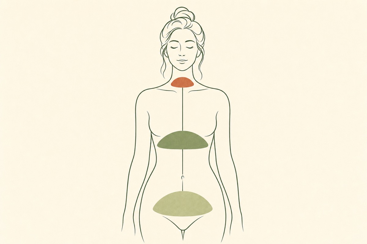 I tre diaframmi, vocale respiratorio e pelvico Illustrazione dei tre diaframmi del corpo, vocale alla gola, respiratorio sotto le costole, pelvico alla base del bacino