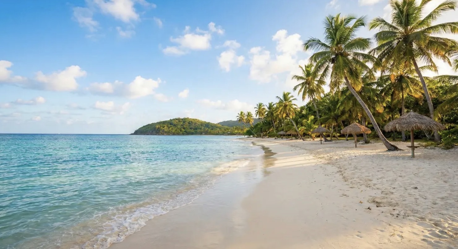 Blue Mind: la calma vicino all'acqua Spiaggia tropicale con mare calmo e palme, immagine che evoca lo stato di calma del Blue Mind