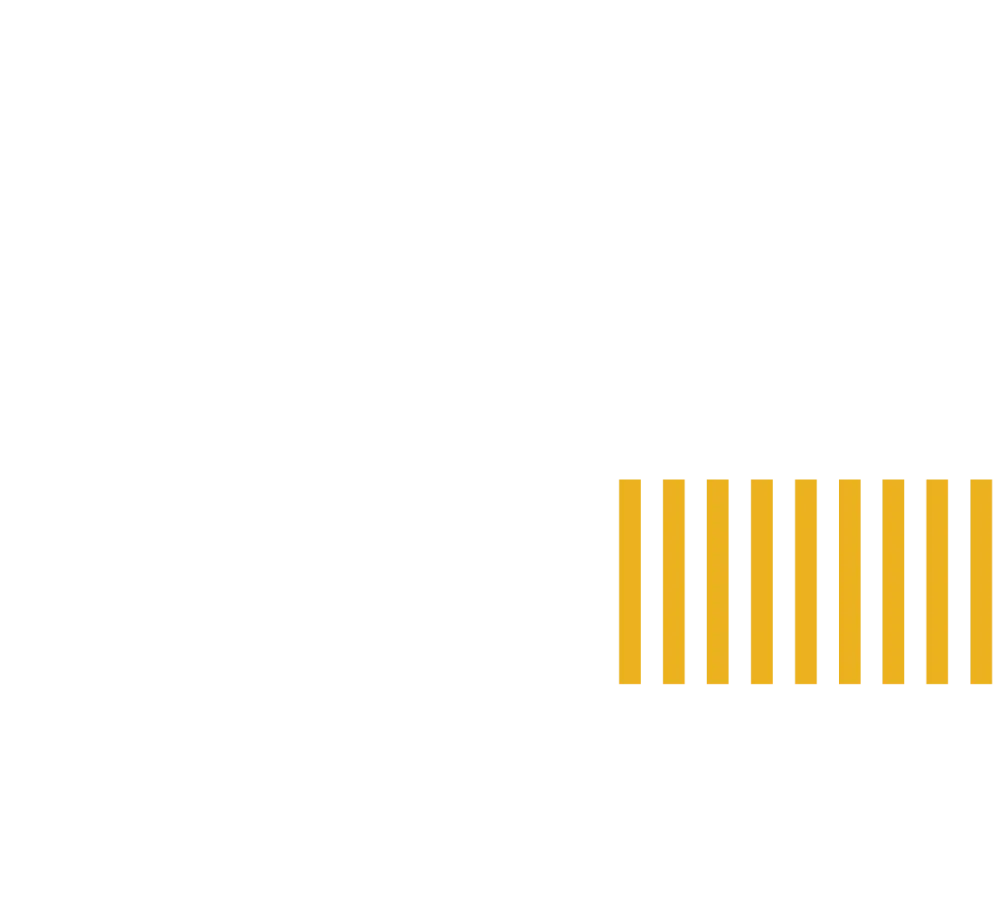 Lingua Matik
