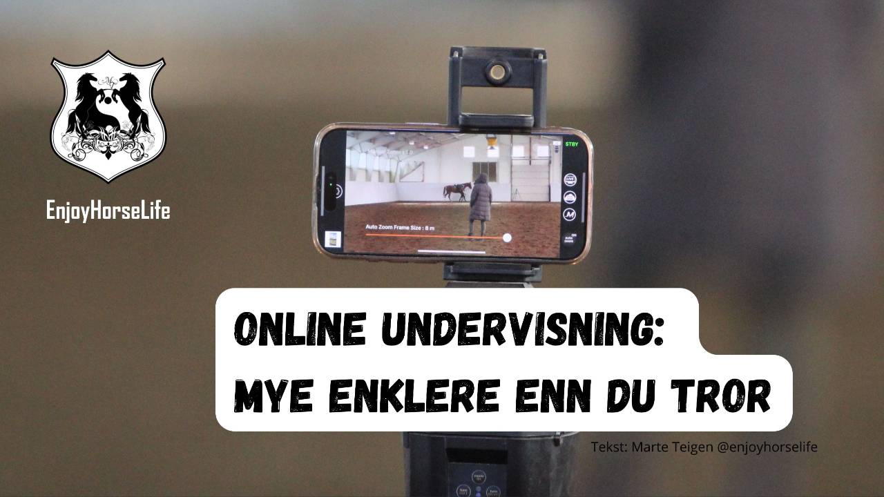 online-undervisning