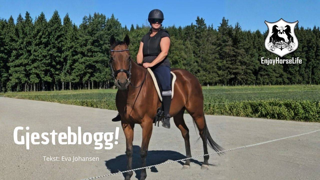 gjesteblogg