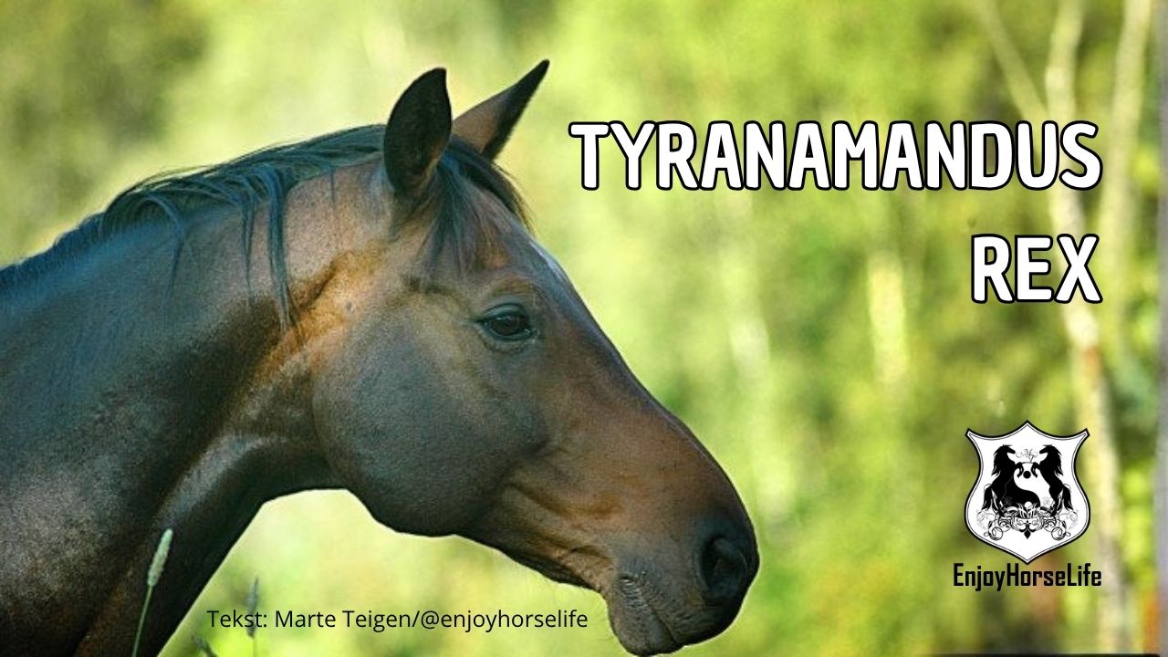 amandus
